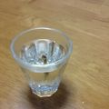 sawapop27's cooksnap of when they made カップ酒で簡単いりこ酒.