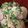 えるも☆'s cooksnap of when they made わさび菜のツナマヨ合え.