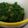 えるも☆'s cooksnap of when they made おばあちゃんの、大根菜の炒め物.