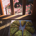 urg44's cooksnap of when they made バター不使用☆簡単抹茶スコーン＊.