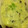 シングルアイシャドウ's cooksnap of when they made リメイク♪海苔の佃煮で和風えのきグラタン.
