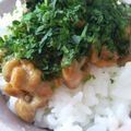 気ままなお料理屋's cooksnap of when they made 青海苔た～っぷりの納豆丼.