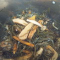 ティフル's cooksnap of when they made 祖母の味❀すき昆布とさつま揚げの煮物.