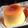 ♡miii♡'s cooksnap of when they made 皆で食べれる☆デカ盛り☆バケツプリン♪.