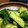 ろみわんわん's cooksnap of when they made 【簡単】たたききゅうりのナムル風胡麻和え.