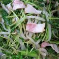 第Ｒｏｃｋ天魔王's cooksnap of when they made 豆苗とモヤシとベーコンの炒め物.