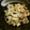 kona8's cooksnap of when they made れんこんとちくわのきんぴら.