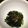 ゆ〜ゆ〜's cooksnap of when they made 金ごまいりごま　わかめときゅうりの酢の物.