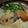 MyDining's cooksnap of when they made 和風シチュー.