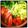 naokosurf's cooksnap of when they made ザーサイで野菜鍋.