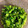 airijp's cooksnap of when they made 春野菜・菜の花のおひたし［和食定番］副菜.