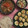 華舞蘭's cooksnap of when they made 里芋と大根のごまみそ煮.