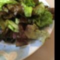 腹ペコハリネズミ's cooksnap of when they made 塩昆布とサニーレタスの手もみ　ｻﾗﾀﾞ.