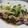 スタイリッシュママ's cooksnap of when they made 薬味たっぷりカツオのたたき.