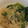 あやはなのり's cooksnap of when they made 安い早い歯ごたえ糸こん＆エノキすき焼き風.