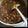 カンダカズマ's cooksnap of when they made 簡単なのに豪華☆鶏のドミシチュー.