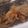 ☆ｷｬｻﾘﾝ☆'s cooksnap of when they made 鶏も魚も☆ゴマがポイントの塩唐揚げ.