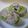 まほじょ's cooksnap of when they made 大根葉とみょうがの雑穀ごはん.