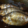 しょおママ's cooksnap of when they made 鯵の丸干しで簡単煮魚.