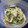amochi's cooksnap of when they made 水菜のからしマヨ醤油和え.