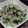 gongmei's cooksnap of when they made ゴーヤとナスのエスニックじゃこ炒め！.