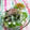 龍青空ママ's cooksnap of when they made おかかとクリームチーズの和風サラダ.