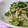 にゃぁくん's cooksnap of when they made ～。：＊えのきにネギだれ＊：。～.