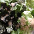 ４番目's cooksnap of when they made どんぶり１つで簡単！サラダうどん.