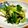 さーかちゃん's cooksnap of when they made わけぎとじゃこの炒め物.