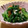 yappyパクパク's cooksnap of when they made ちりめんじゃことほうれん草のゴマ和え♪.