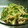 さばのみそ煮's cooksnap of when they made ささみときゅうりの南蛮風サラダ.