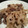 piroro17's cooksnap of when they made れんこんと牛肉のオイスター炒め.