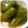 wamdawapw8's cooksnap of when they made ピーマンまるごと煮☆.