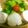 oyu。's cooksnap of when they made 塩麹de鶏ハム.