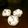 nicowa's cooksnap of when they made 大根の葉！おにぎりだよ全員集合♪.