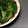 あざらしの赤ちゃん's cooksnap of when they made 小松菜のからし和え（ちょっと洋風）.