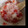 yougoat's cooksnap of when they made 離乳食 鶏ささみとトマトのおかゆ.