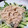 清水の小政's cooksnap of when they made もやしと鶏皮のバンバンジー風.