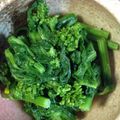はなっちひなっち's cooksnap of when they made 菜の花のおひたし-からし風味-.