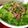 Ｒｅｅ☆'s cooksnap of when they made 豚肉とわさび菜の冷しゃぶ風サラダ.