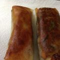 nikonina's cooksnap of when they made 簡単！春巻き！.