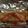 ♪かずみ♪'s cooksnap of when they made 鮭のホイル焼き☆簡単に余り物で！.