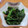 i_yokan's cooksnap of when they made 栄養満点♪ほうれん草のしょうが納豆和え.