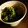 rakuen's cooksnap of when they made 筍と菜の花の胡麻和え.