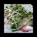 Lycheesoda's cooksnap of when they made タコと大根の和風サラダ.
