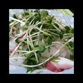 Lycheesoda's cooksnap of when they made タコと大根の和風サラダ.