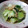 おしおし24's cooksnap of when they made ぱぱっと！ちんげん菜炒め煮.