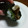 taisho0805's cooksnap of when they made しょうが焼きの手巻き寿司.
