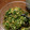 palomita's cooksnap of when they made 旨すぎ！ワタシの青とうがらし醤油麹漬け.