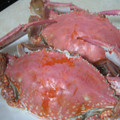 nao2008's cooksnap of when they made 渡り蟹がやってきたっ！.